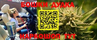 гашик Шебекино