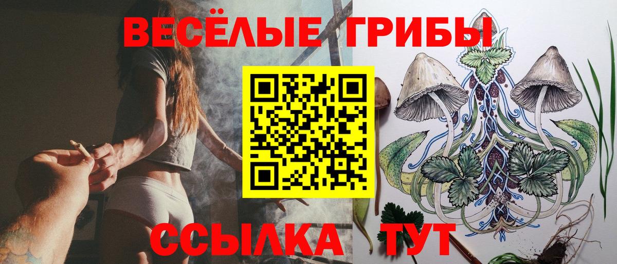 Галлюциногенные грибы GOLDEN TEACHER  Псилоцибиновые грибы прущие грибы  Вход с VPN  даркнет сайт  Кушва 